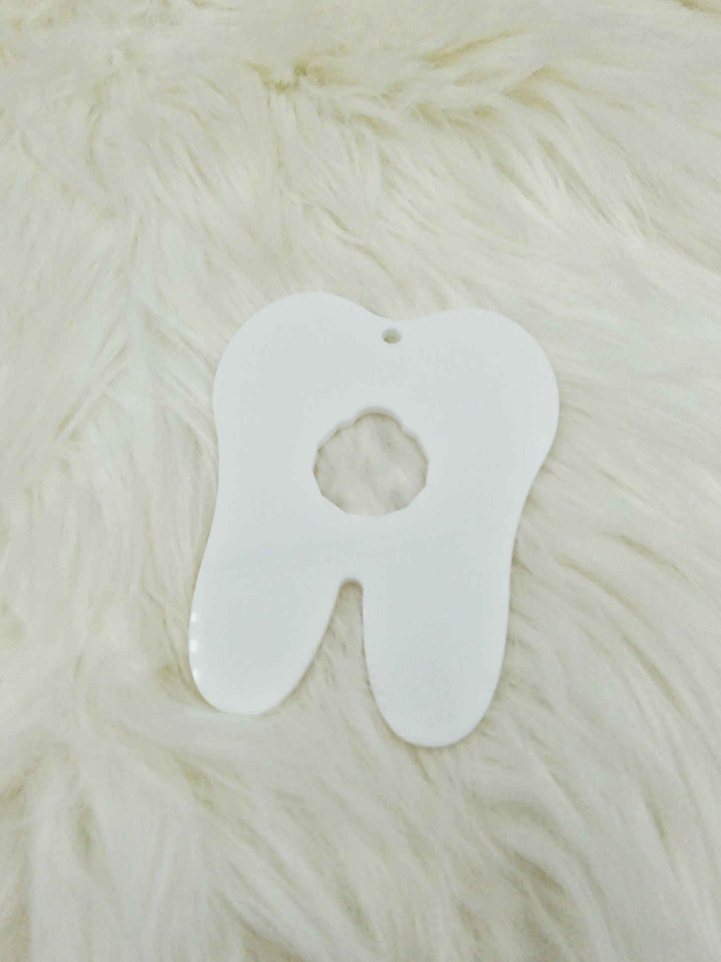 Acrlic Tooth Coin Holder